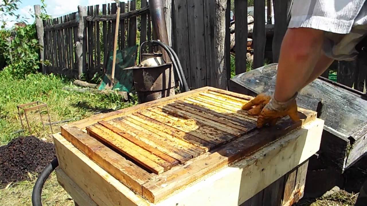 Самодельная паровая воскотопка