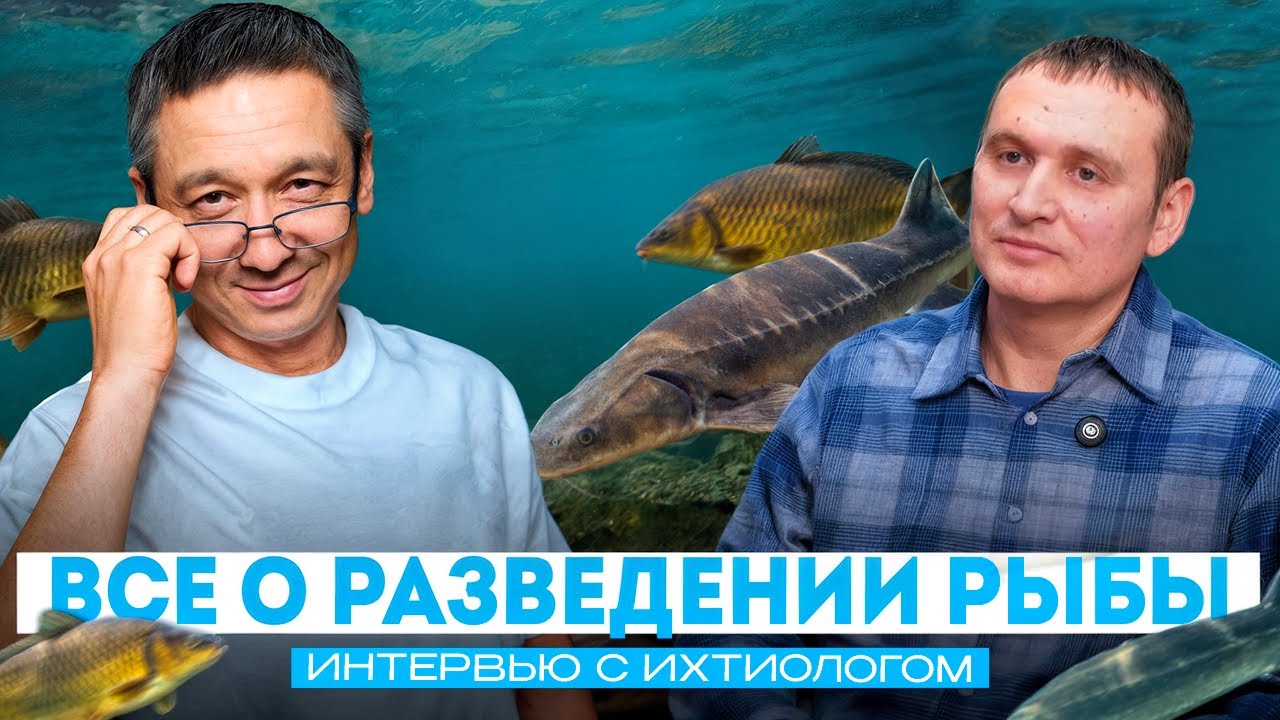 САМЫЕ ПОПУЛЯРНЫЕ ВОПРОСЫ ИХТИОЛОГУ. ВСЕ О РАЗВЕДЕНИИ РЫБЫ. ЧАСТЬ-1 #2026