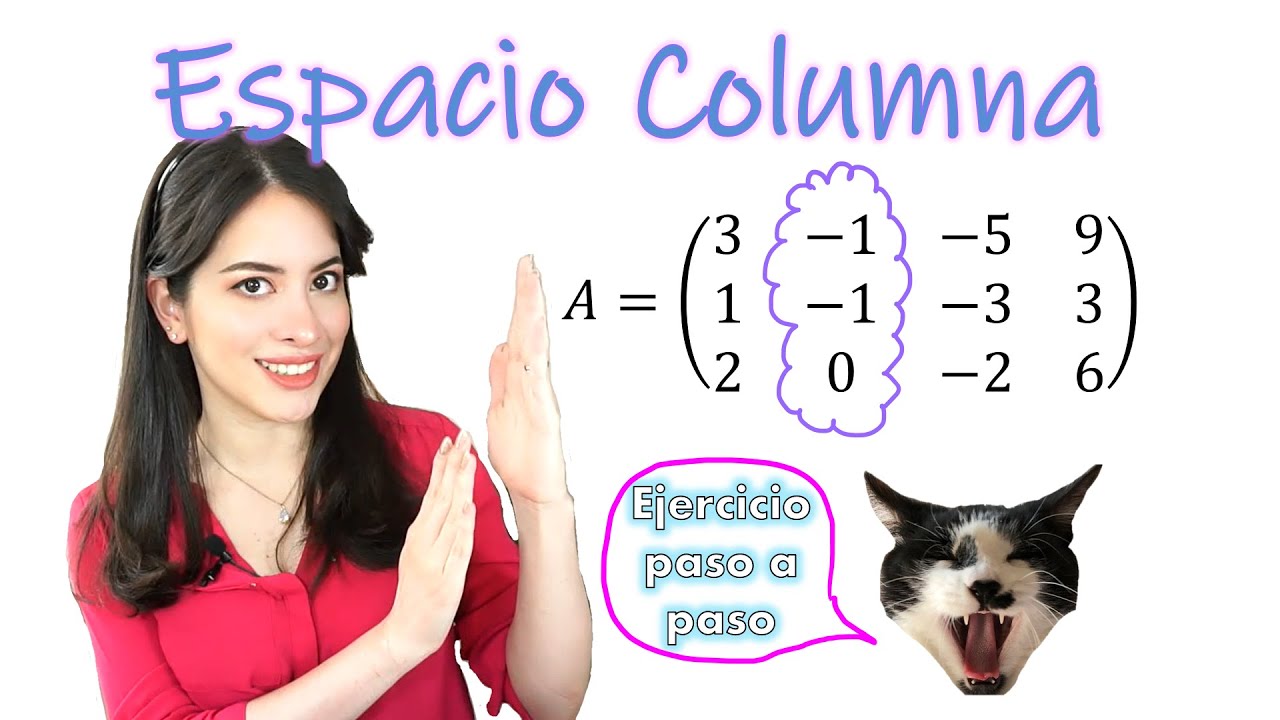 ESPACIO COLUMNA, RANGO DE UNA MATRIZ - ÁLGEBRA LINEAL
