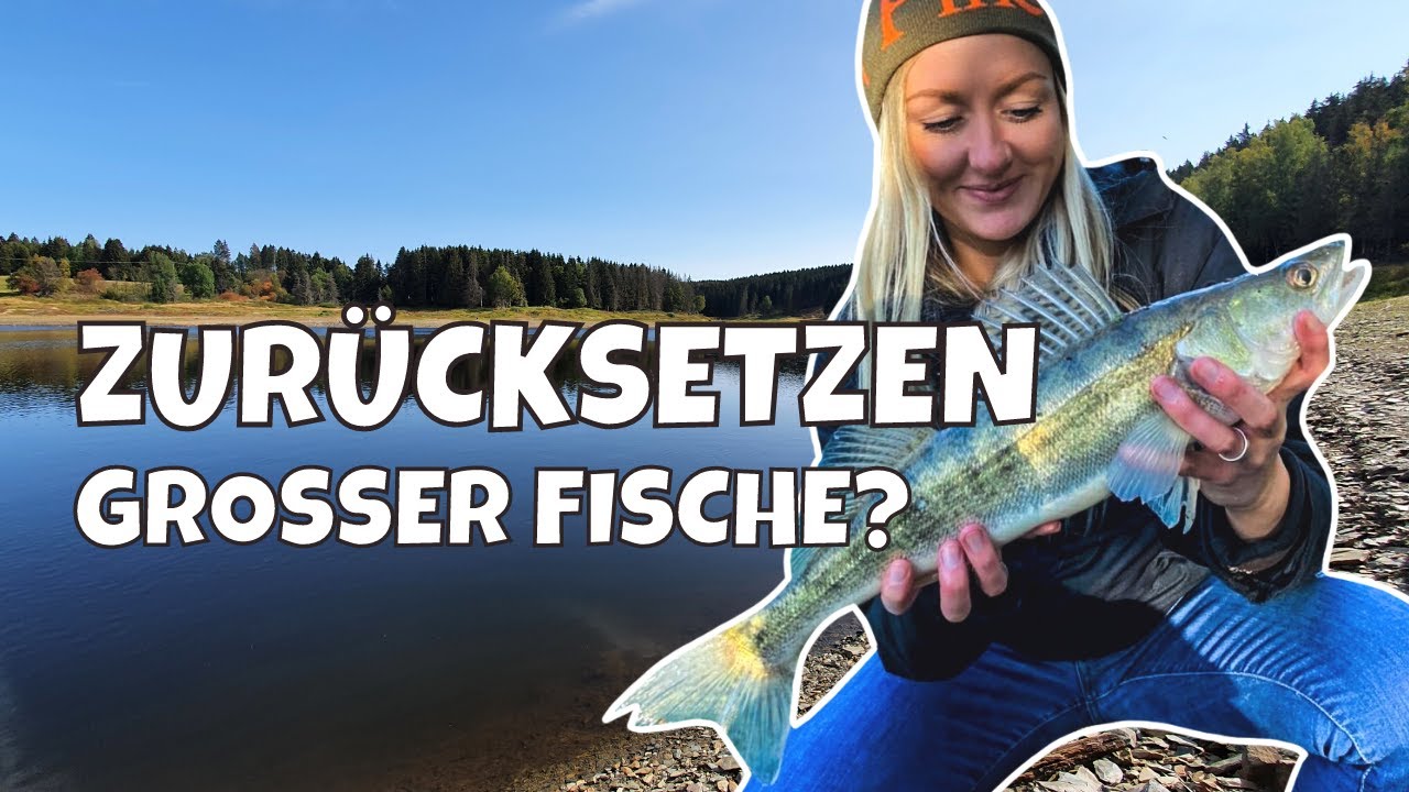 ENTNAHMEFENSTER für GANZ Deutschland❓ | Heyfishing fragt nach - im Gespräch mit Dr. Matthias Emmrich