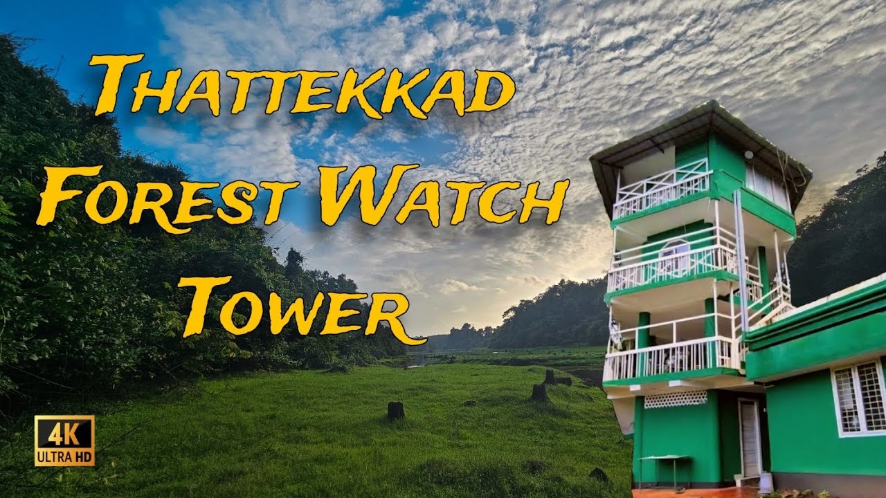 Thattekkad Bird Sanctuary Forest Watch Tower Stay | Jeep Ride, Bird Watching & Scenic Views!