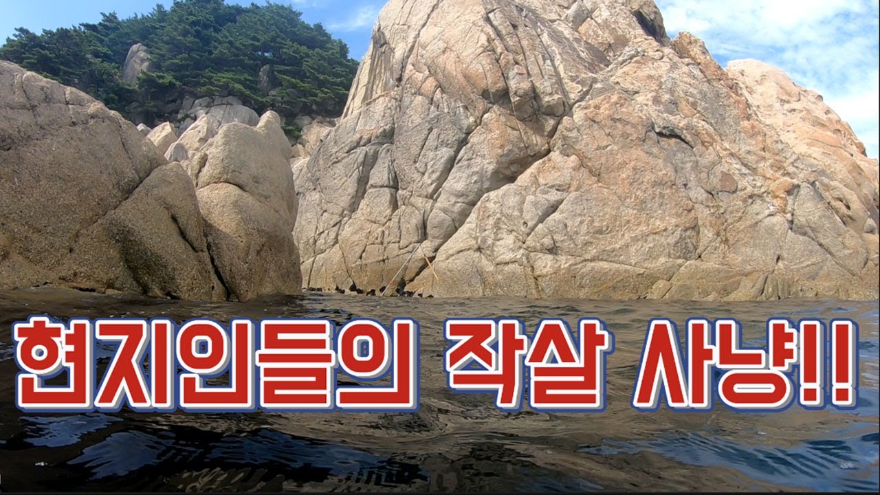 큰바위 밑!!대물 물고기를 작살로 찍는다~!! 여름철 최고의 맛 👍!/ harpoon a fish in the sea.