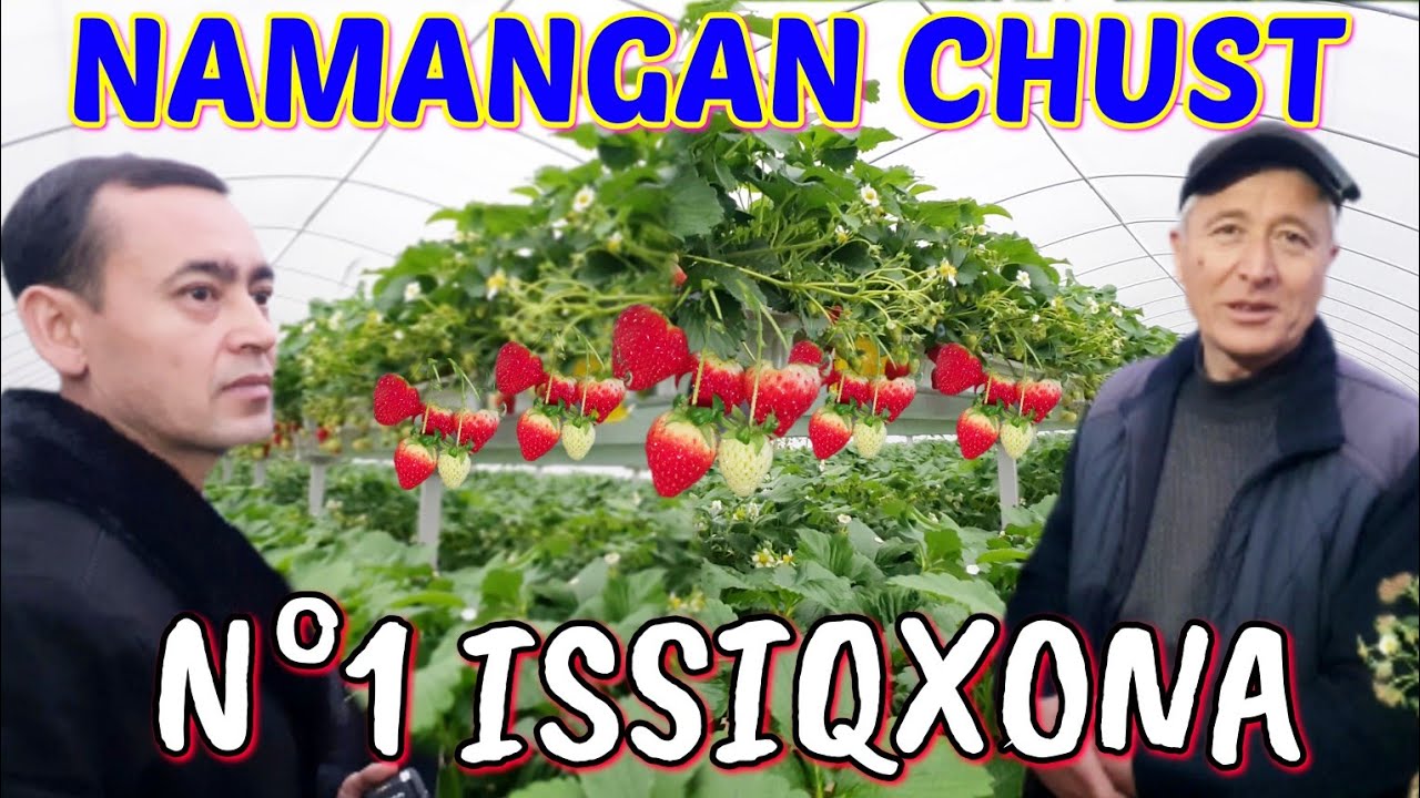 QULUPNAY. XAYRATLANMAY ILOJ YO'Q. 3-QISIM