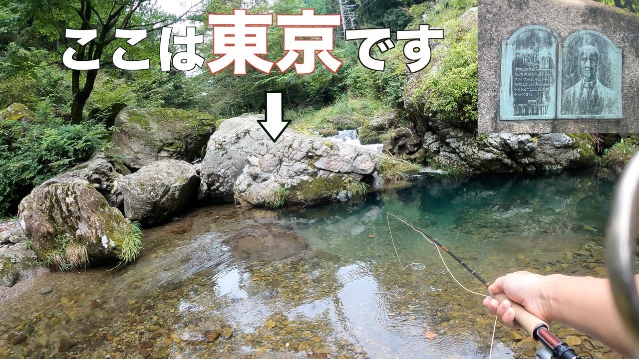 【養沢】東京の伝説的フライフィッシング釣り場を満喫！
