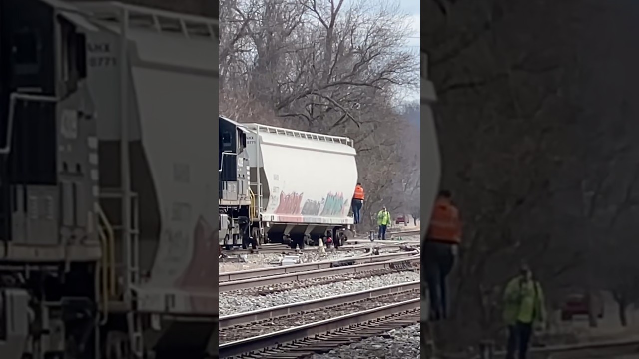 Мужчина едет в поезде, учится ездить. Проводник на железной дороге Norfolk Southern, проходящий о...