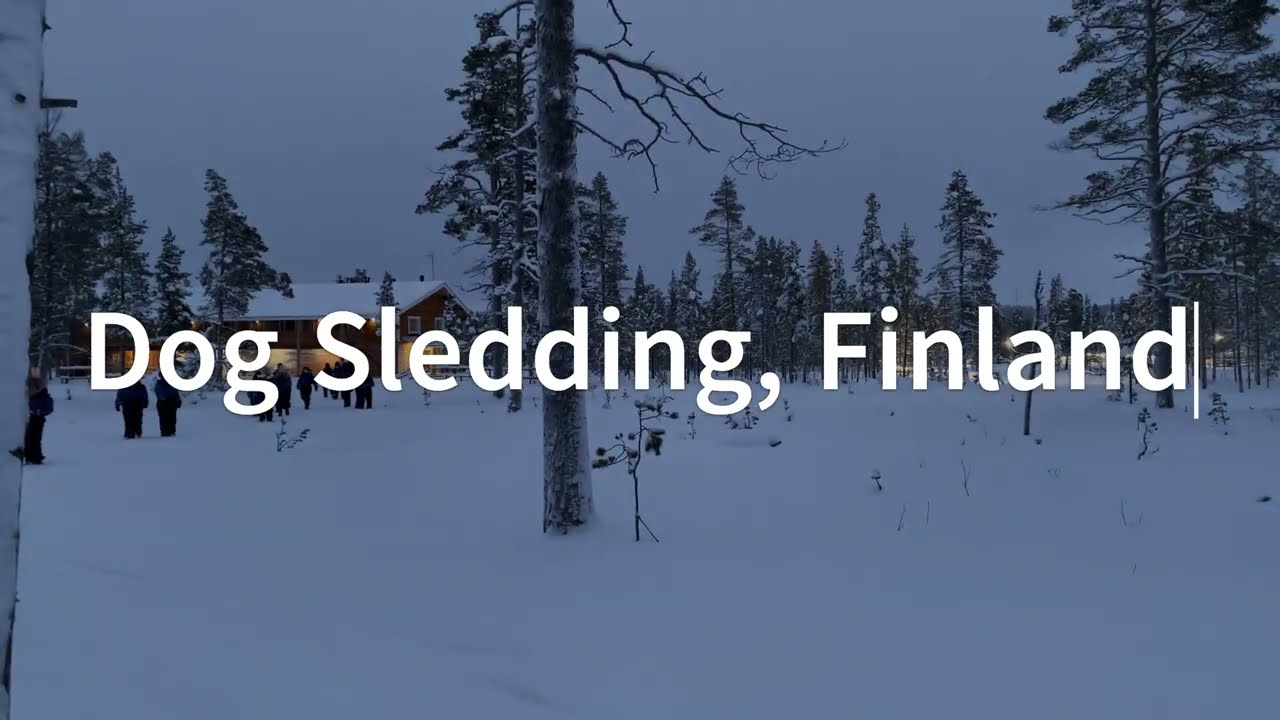 Dog sledding in Finland 2022