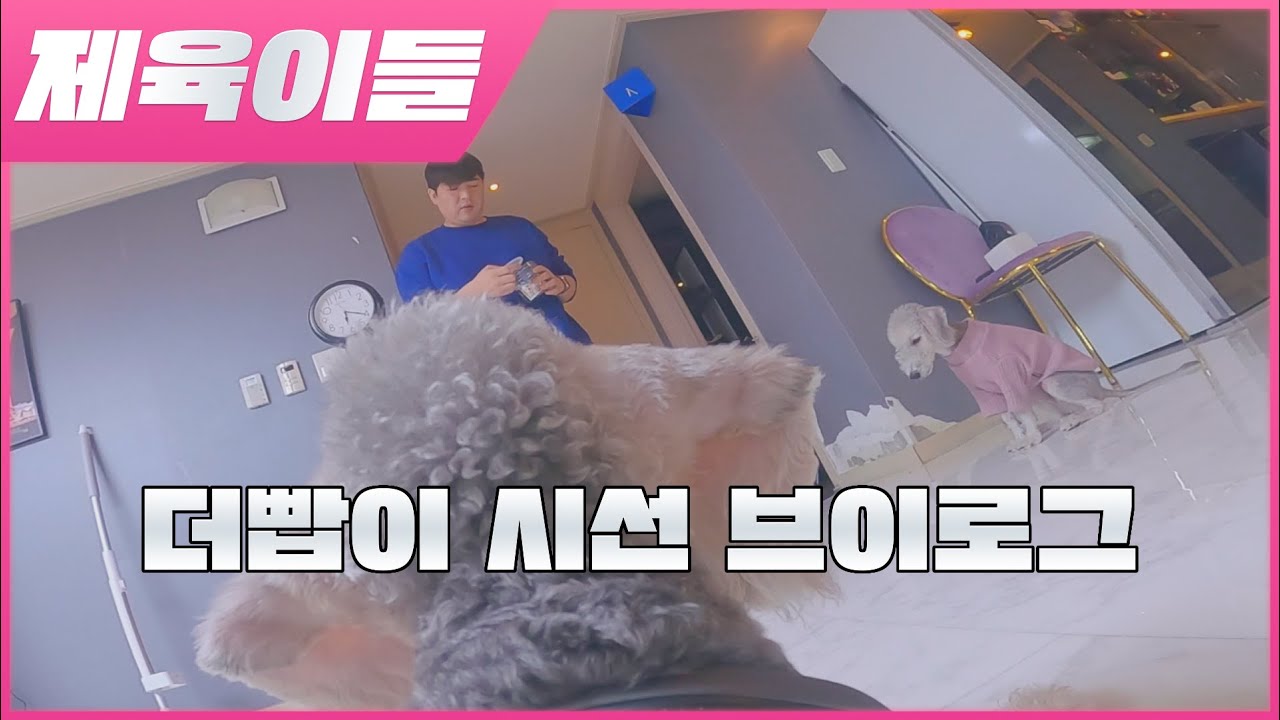 [제육이들] 더빱이 시선 브이로그