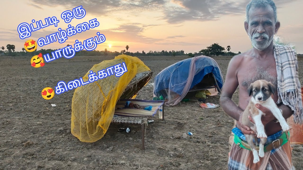 கீதாரிகளின் வாழ்க்கை முறை..😌| வலசை போதல்🫴|please subscribe and  support..,😍