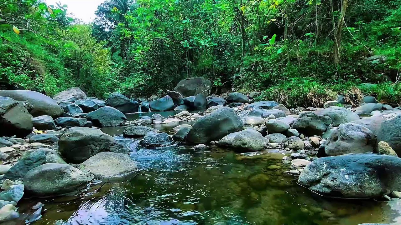 Mountain Water Stream Sounds, Forest River Calm Flow, Sleeping