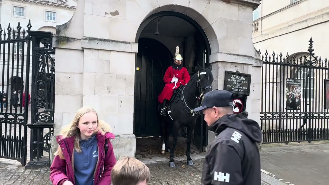 🤗	One Nervous Horse, One Calm Horse, One Special Girl