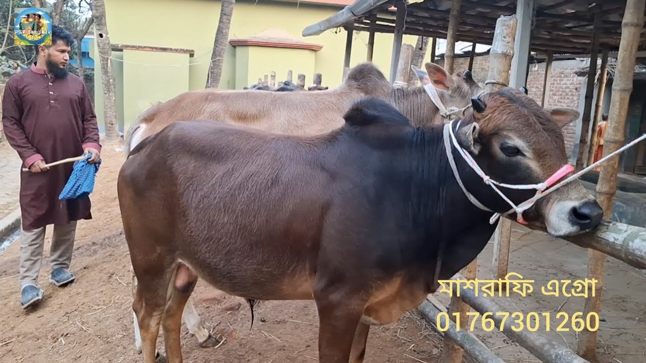 @ ১৮ ফেব্রু
