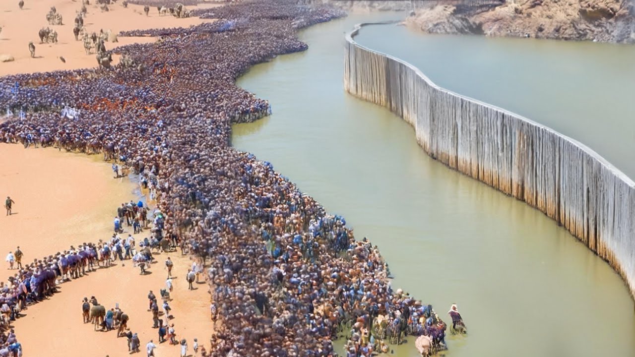 L'Égypte A Bloqué Des Tonnes D'Eau De Pluie Du Nil, Stoppant Son Écoulement Dans Le Désert Du Sahara
