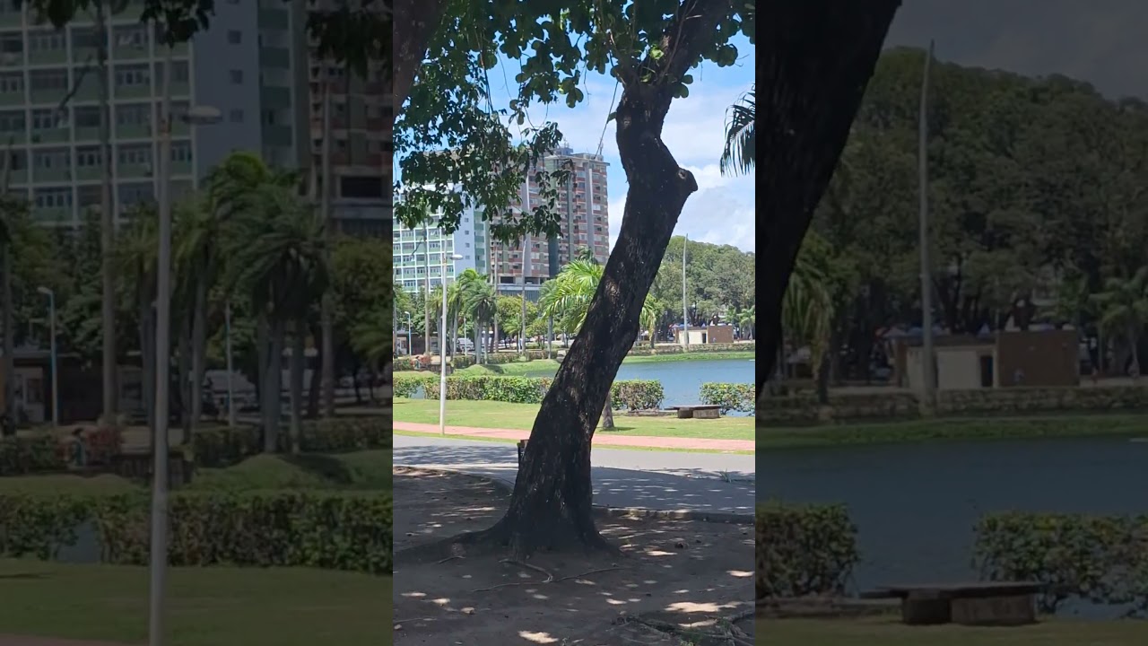 PRA&Ccedil;A DA LAGOA SOLON DE MELO JO&Atilde;O PESSOA PB