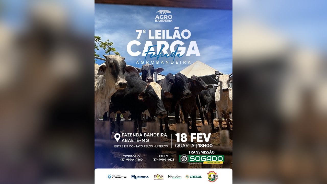7&ordm; LEIL&Atilde;O CARGA FECHADA AGRO BANDEIRA EM ABAET&Eacute;/MG - 18/02/2026