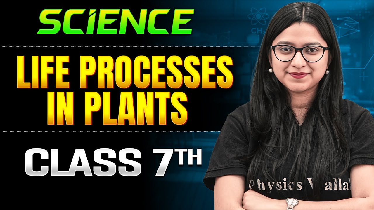 Life Processes in Plants Class 7 One Shot || Science || Ankita Ma'am