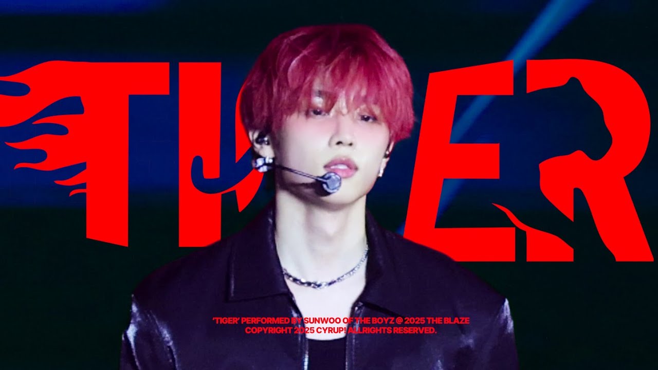 [4K] 더보이즈 선우 직캠 'TIGER' 타이거 | THE BOYZ SUNWOO Fancam | 250809-0810 THE BLAZE CONCERT