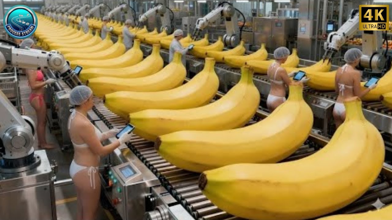 Inside a Modern Banana Purée Factory: From Fresh Bananas to Thick Yellow Purée (Full Process)