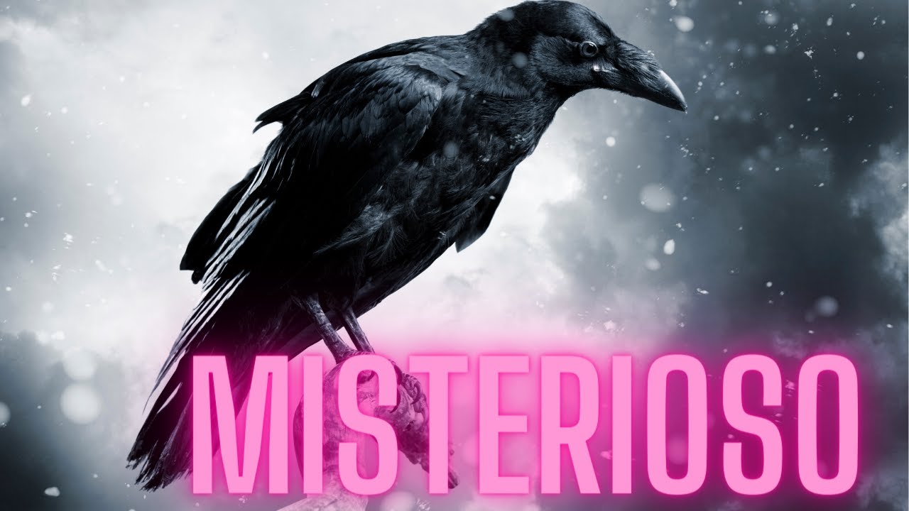 🍂🖤ENTRE SOMBRAS Y PLUMAS: EL LADO OCULTO DE LOS CUERVOS🍂🖤 #cuervos #misterios