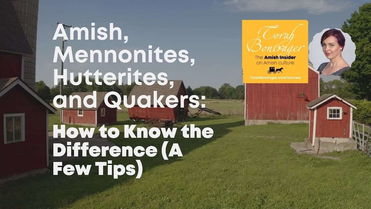 This Is How to Know the Difference Between #Amish and #Mennonites - 10 Days of Q&As