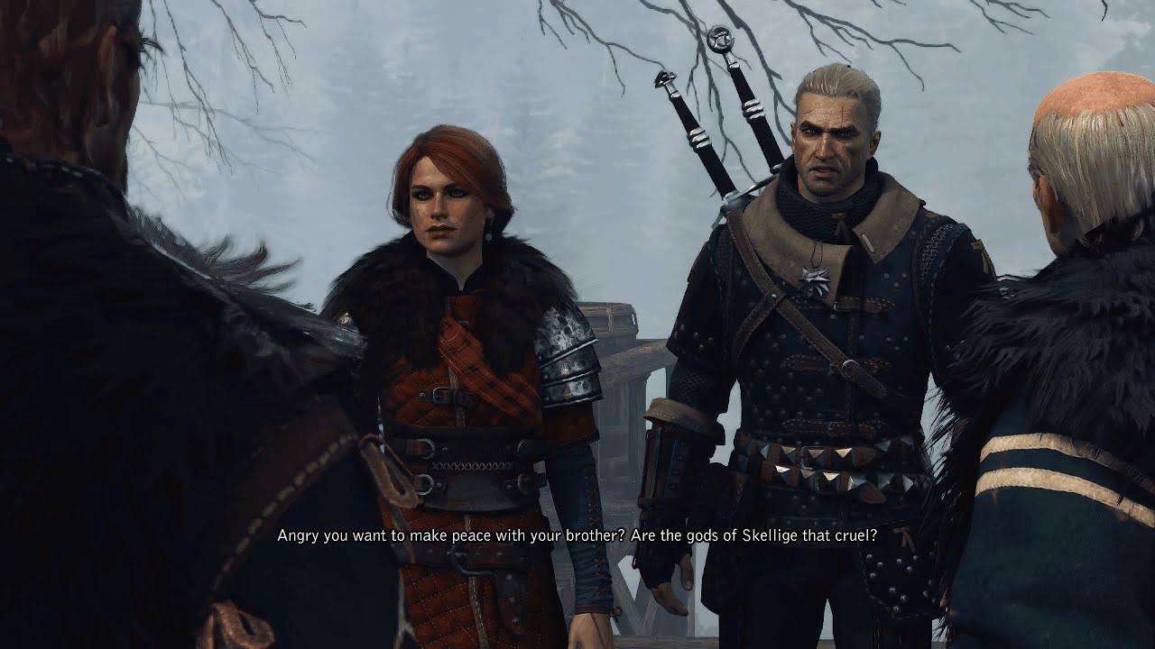 Прохождение игры The Witcher 3: Wild Hunt — Часть 40 — Серис и крестовый поход