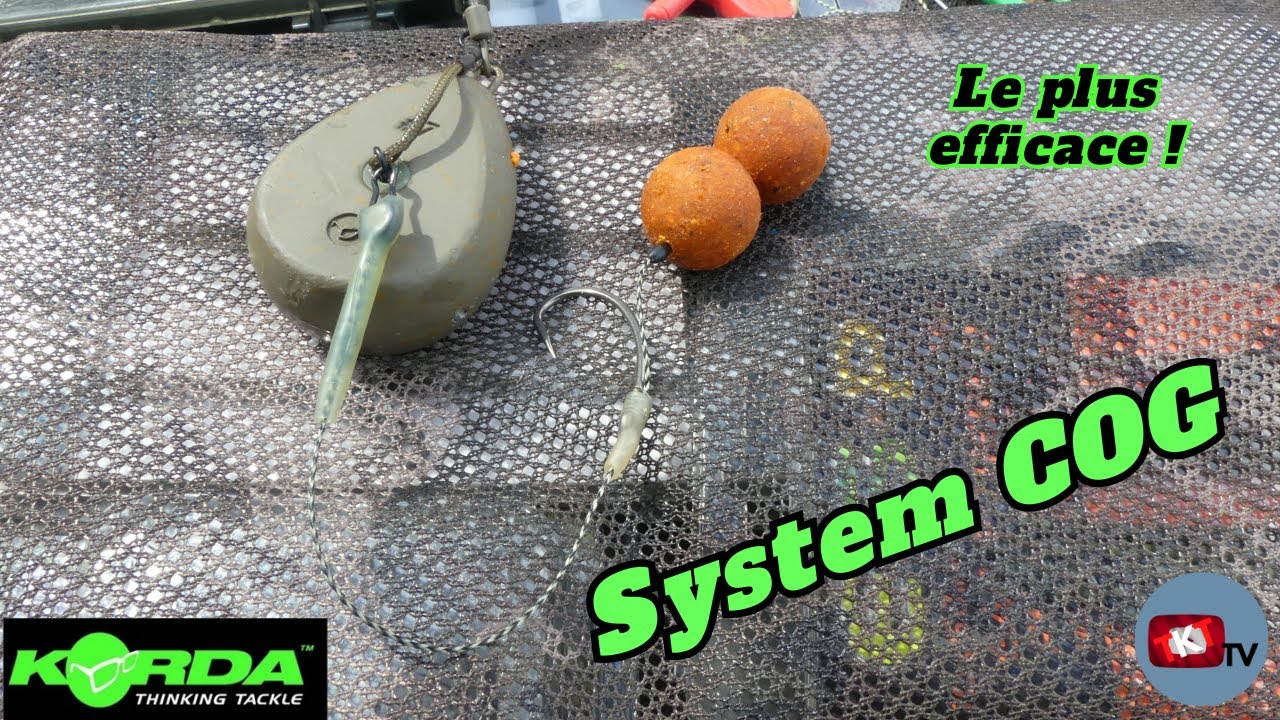 COG - Une efficacité incontournable !