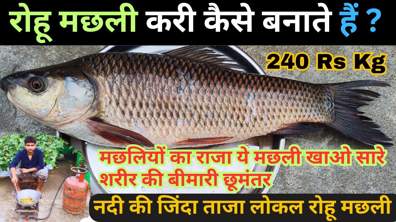 रोहू मछली🐟मछलियों की राजा पुरे भारतीय की पसंद ,देसी अंदाज में यूनिक तरीके से बनाया | Rohu Fish Curry