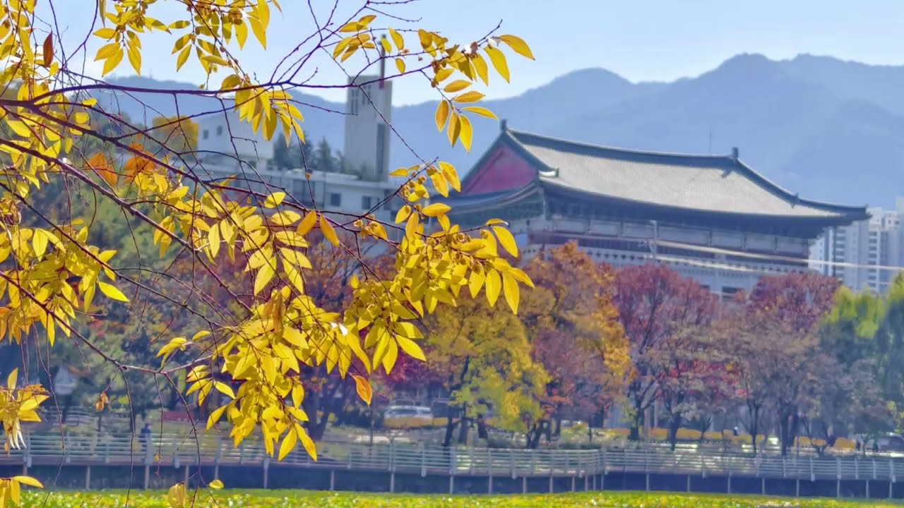 山水有緣