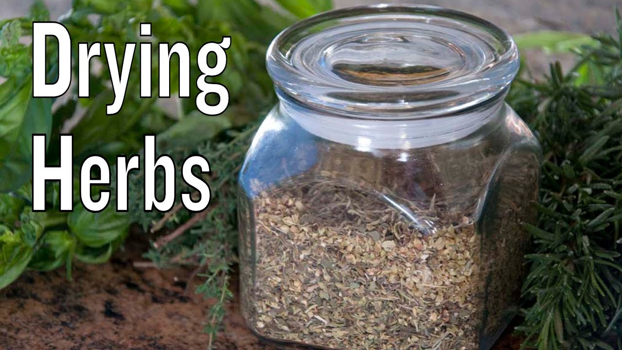 How to Dry Herbs