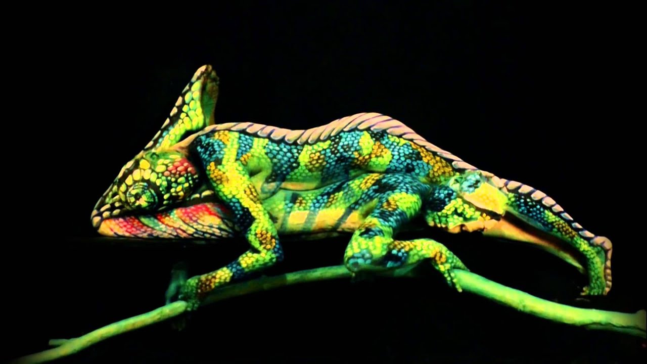 Chameleon  - Bodypainting de Johannes St&ouml;tter