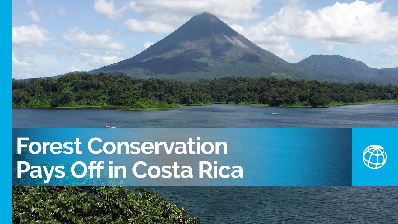 Forest Conservation Pays Off in Costa Rica