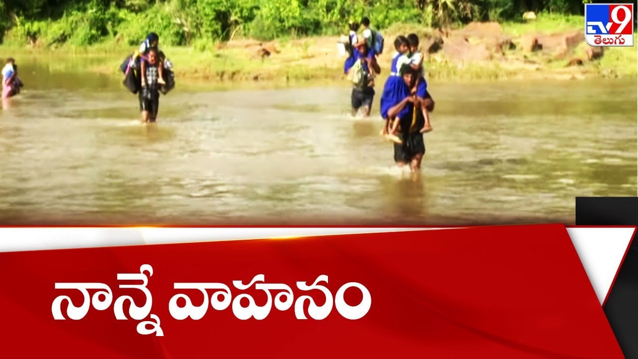 నాన్నే వాహనం.. చదువుకోవాలంటే వాగు దాటాల్సిందే ! || Tammileru, Eluru || TV9 Exclusive Ground Report