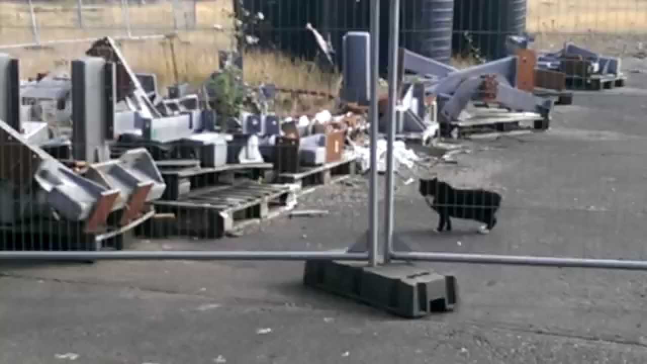 Bunny has a bad day. (WARNING: Contains disturbing scenes)