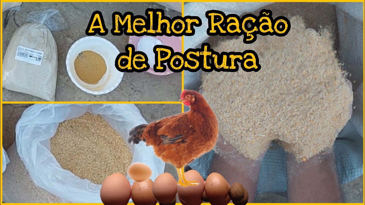 A Melhor Ração de Postura. Fácil de Fazer.