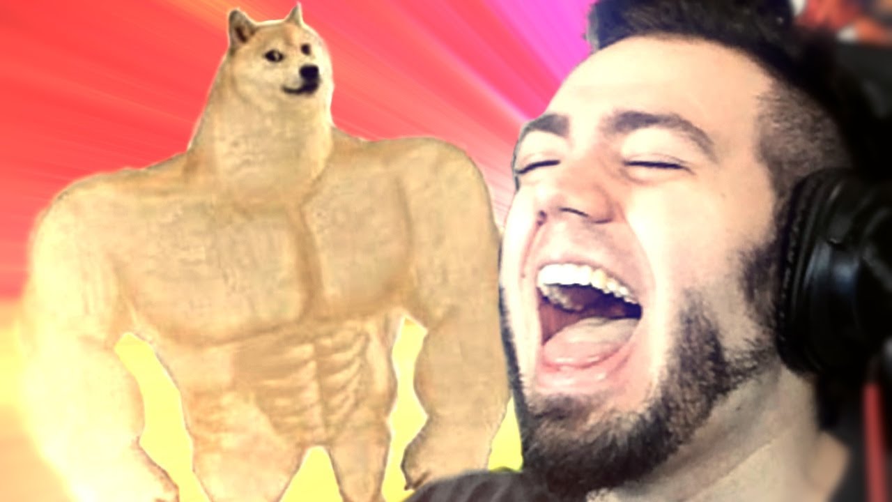 ANIMAL MEMES DONT LAUGH CHALLENGE | ZellenDust