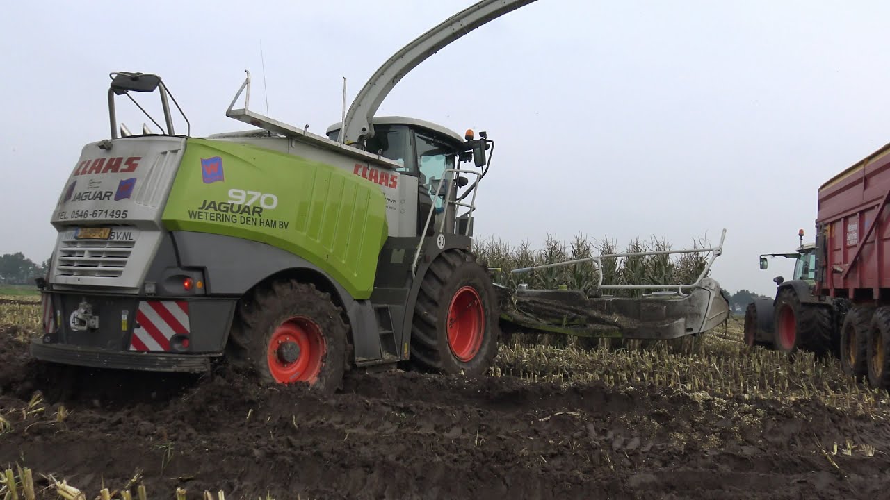 Claas Jaguar 970 en 2 Fendts met Dezeure tractiewagens in de mais en door de modder (2015)