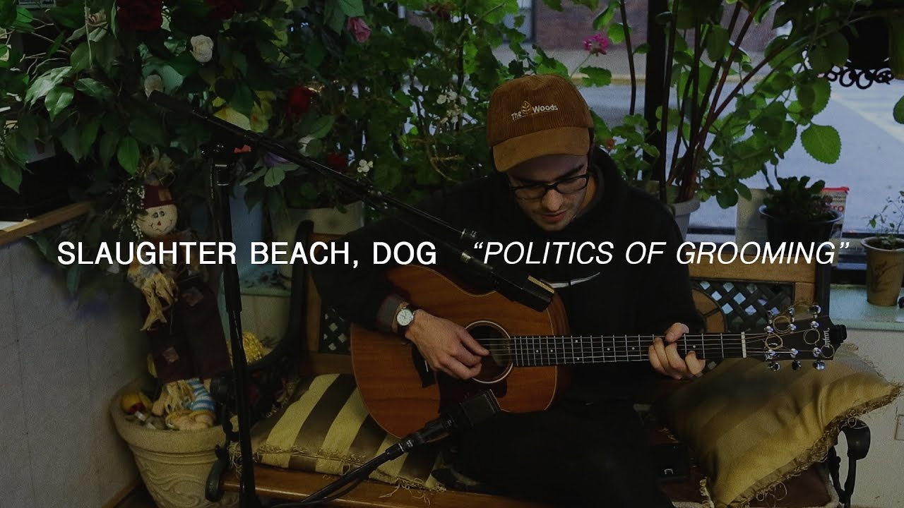 Slaughter Beach, Dog - Politics of Grooming | Audiotree Far Out