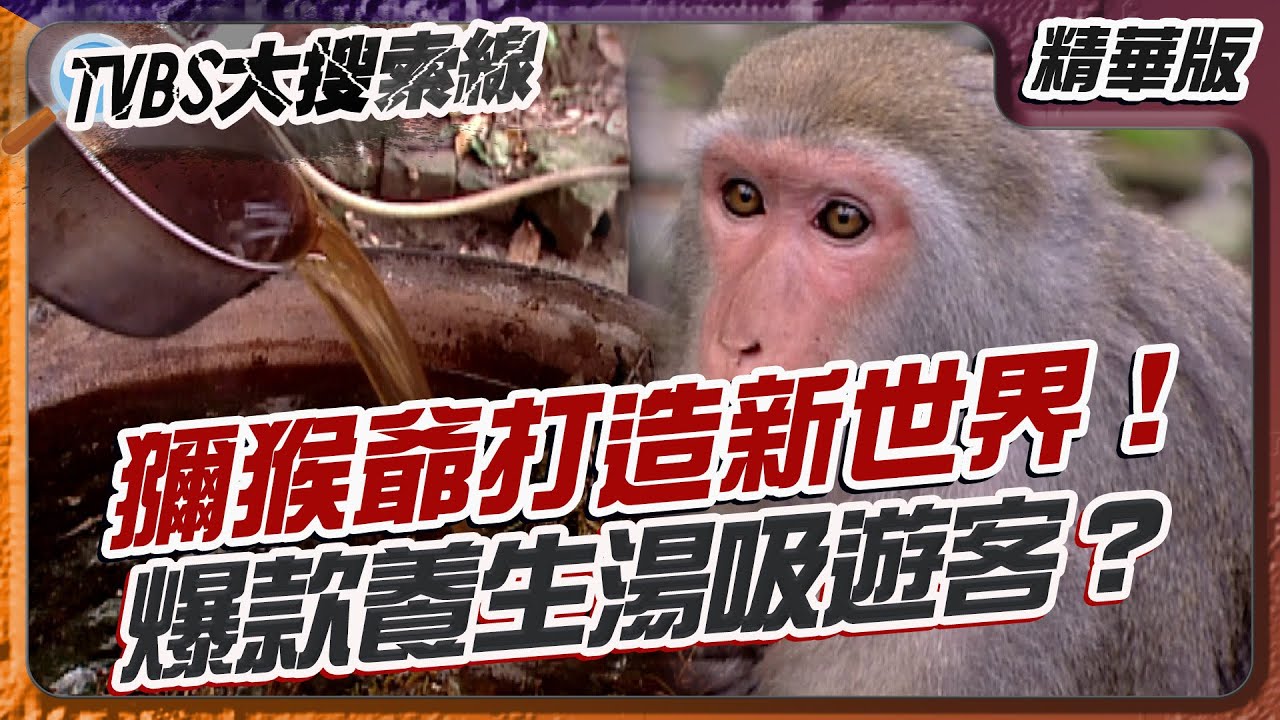 獼猴爺打造新世界！爆款養生湯吸遊客？【#大搜索線 精選】#南化鄉 #烏山 #美猴王 #林炳修 #精力湯 #萬妙湯 #台南景點 #養生湯品 #台灣獼猴