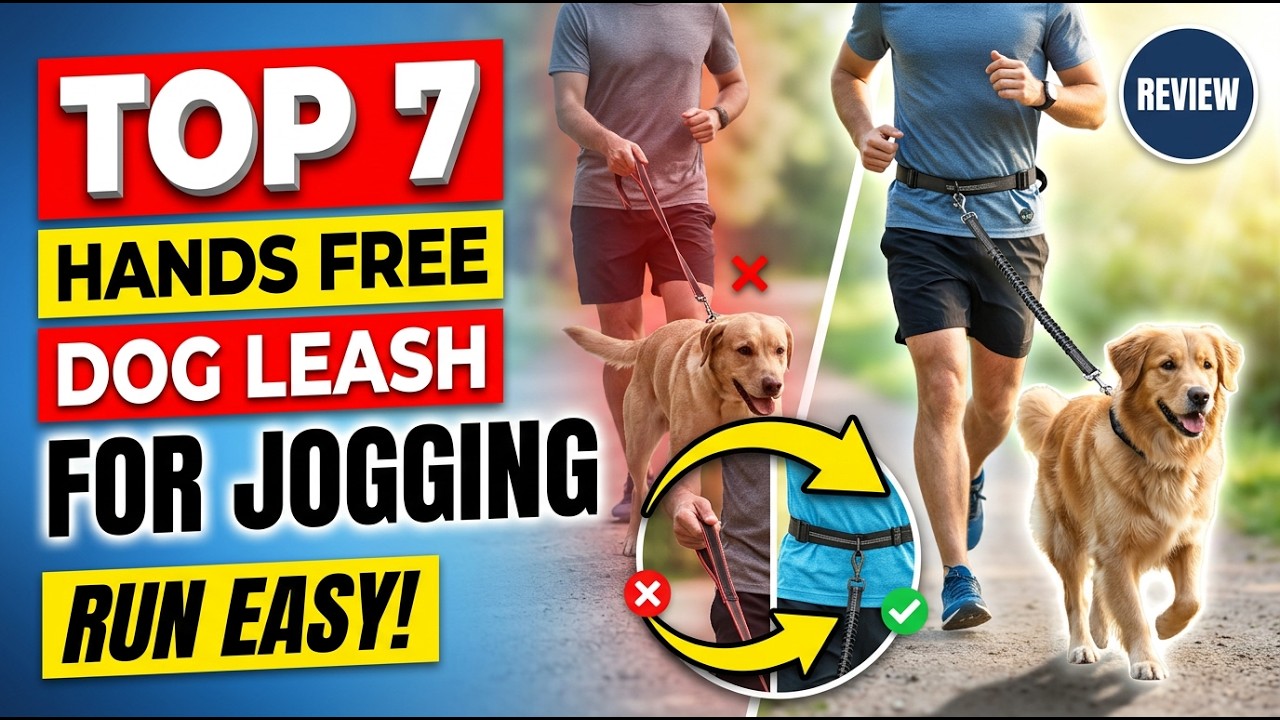 Top 7 Best Hands Free Dog Leash For Jogging Review (Urgent) 2026 Buying Guide