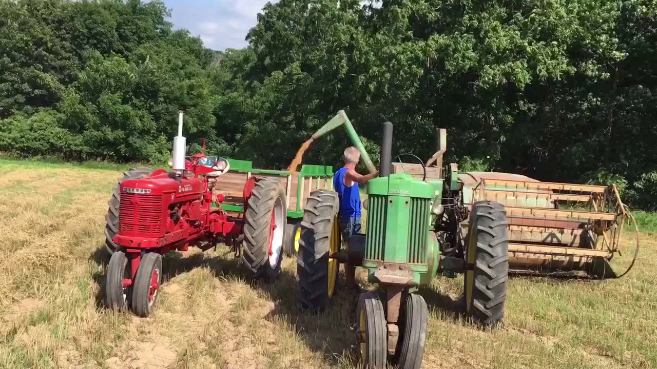 Old Time Wheat Harvest