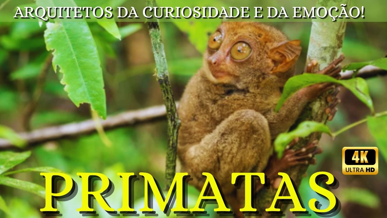 Primatas: Os Senhores das &Aacute;rvores | Os Guardi&otilde;es das Florestas e Mestres da Sobreviv&ecirc;ncia