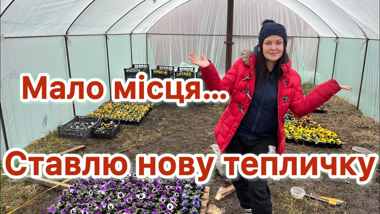 Нова теплиця для квітів