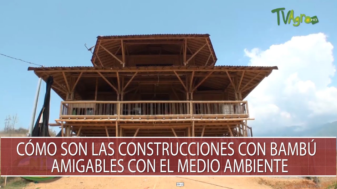 Como son las construcciones con bambu amigables con el medio ambiente - TvAgro