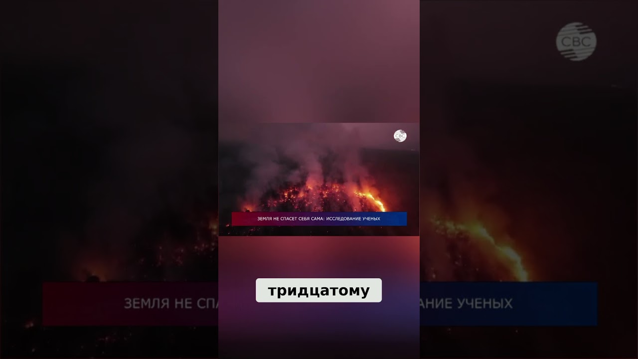 Революция возобновляемой энергетики: Солнце и Ветер побеждают #shorts