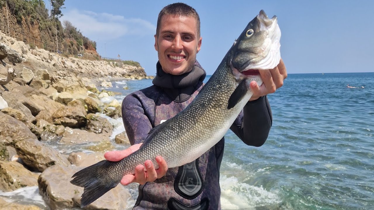 PESCA SUBMARINA EN MÁLAGA Y GRANADA [RECOPILACIÓN 2]