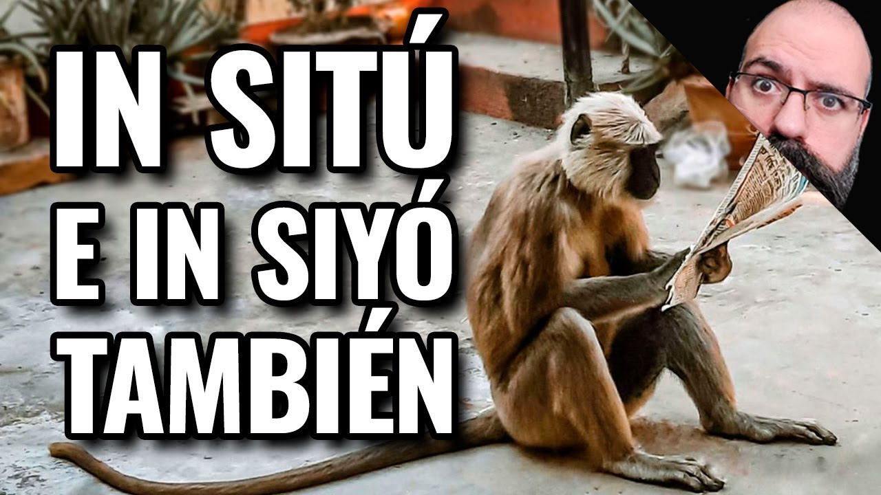 In Sitú e In Siyó También - Lo SONY y PC igual ya tal