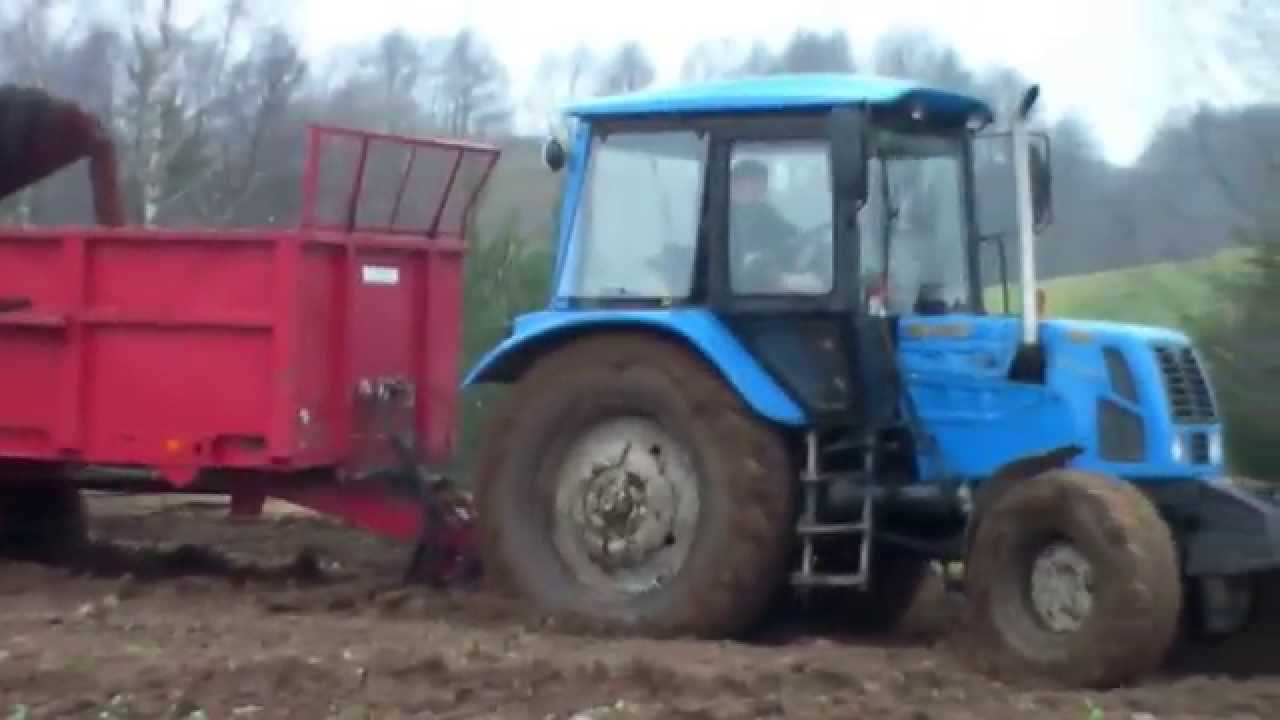 Day in farm, Belarus MTZ 82 + Laumetris manure spreader working in the muddy field (Lithuania)