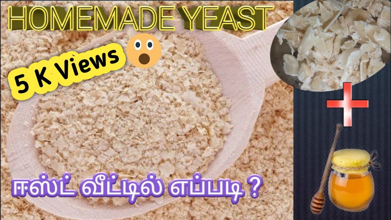 Homemade yeast Tamil | வீட்டிலேயே ஈஸ்ட் தயாரிப்பது எப்படி | yeast in tamil | exclusive dry yeast