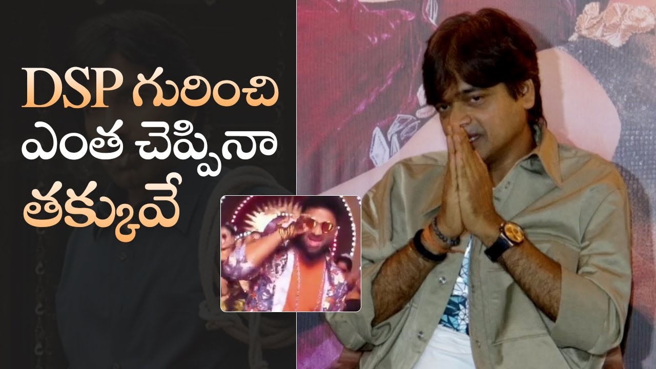 Director Harish Shankar About Devi Sri Prasad Cameo In Mr Bachchan | MS Talkies