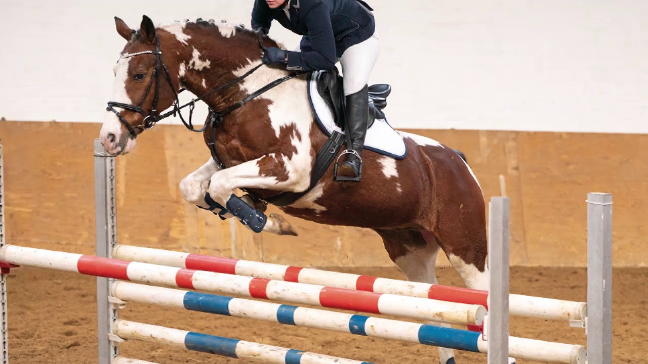 Strahlemann 2021 - Zuchthof zum Hexenberg