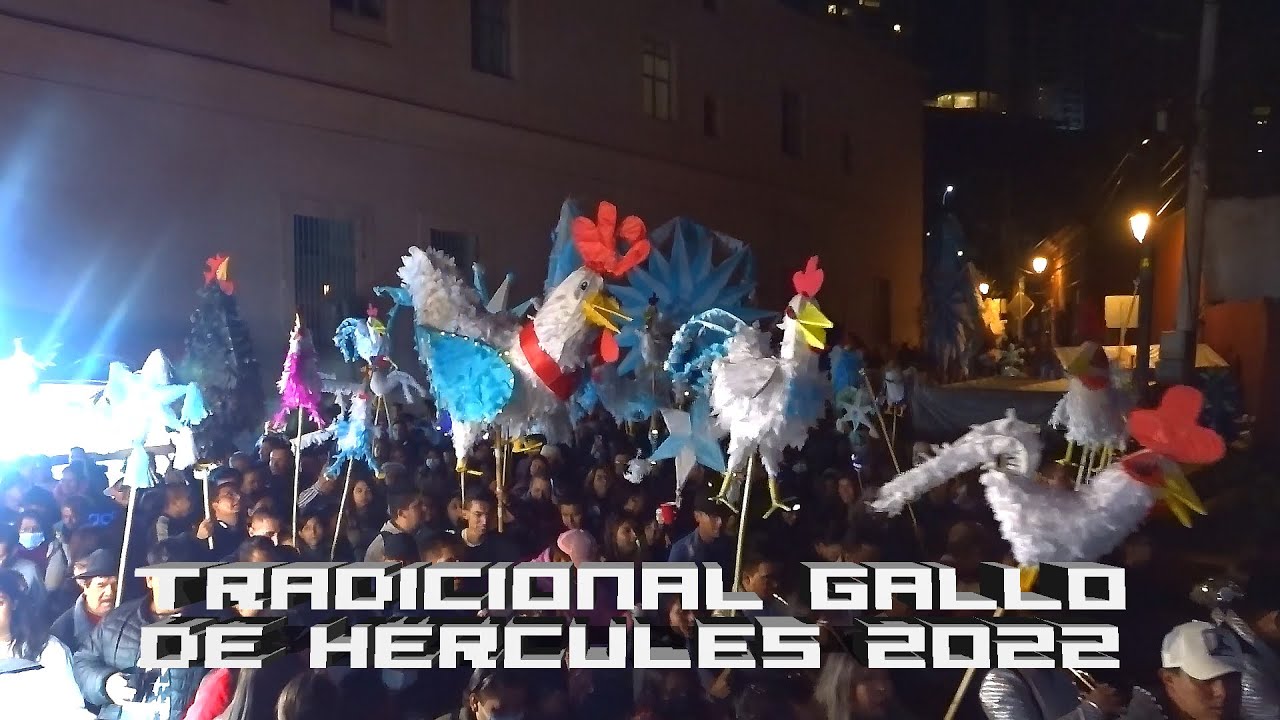 TRADICIONAL GALLO DE HERCULES 2022